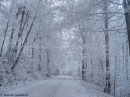 ivje17