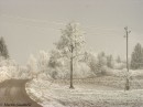 ivje35