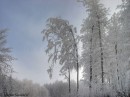 ivje36
