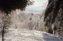 zled2
